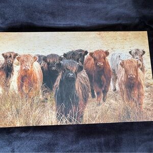 Highland Cattle Canvas Art